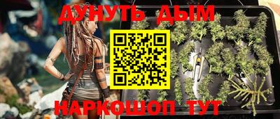 ешки Абакан