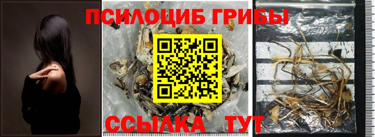 Галлюциногенные грибы прущие грибы  Вход с VPN  Алексин  Галлюциногенные грибы Magic Shrooms 